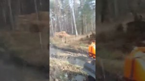 STELS GUEPARD 650 vs CFMOTO X6 625