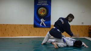 Всемирная Федерация Джиу-Джитсу и Кобудо (WJJF/WJJKO)