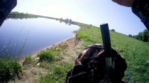 Рыбалка в мае 2023. Ловля на майского жука