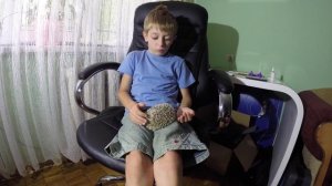 Африканский йожик как заботитса