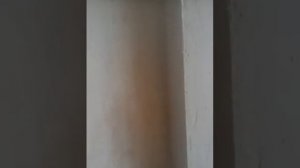 Как выводить наружные углы колонн
