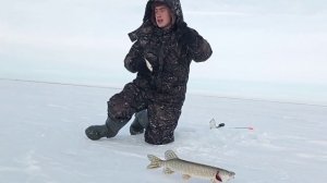 Рыбалка в Казахстане! глухозимье- январь 2021,ловля щуки на жерлицы.