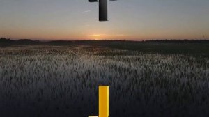 Работа в Роснефть вахтой