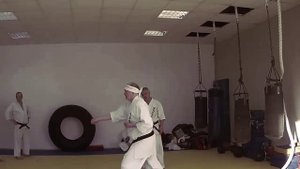 Секреты базовой техники карате Киокушинкай (полное видео)