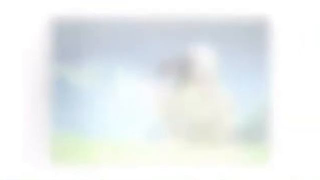 Социальный видеоролик «Спешите делать добро» смотреть онлайн