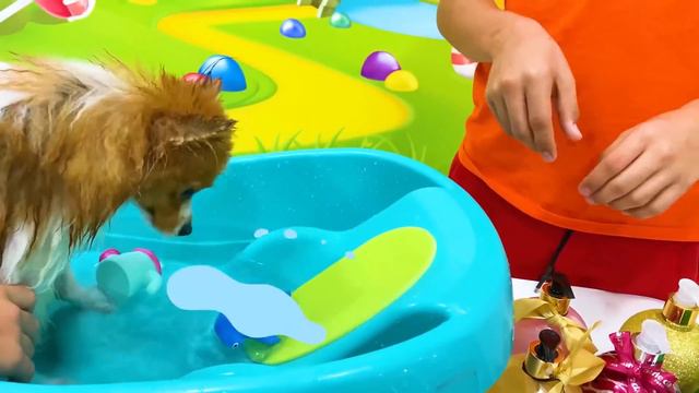 Настя и Артем купают щенка Марти смотреть онлайн