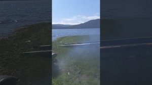 Проверка МП 800