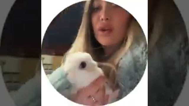 Лиза Полыгалова