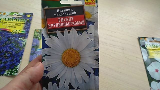 Семена цветов.Выращиваю для черенкования .