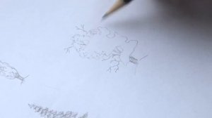 Как нарисовать дерево? Разные виды деревьев.