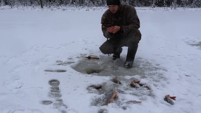 Охота на куницу капканами. Проверил путик. Порыбачил на озере. смотреть онлайн