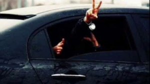 TRUEтень - Бродяга