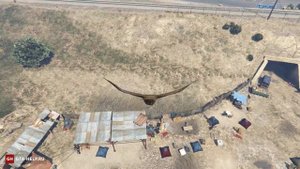 Кактус пейот 4 — GTA 5