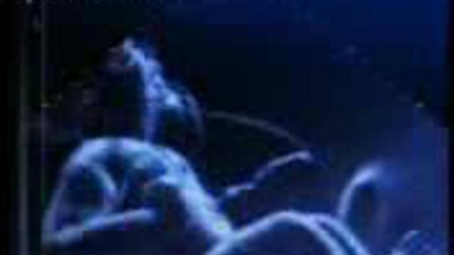 Ждете близнецов?Держитесь! смотреть онлайн