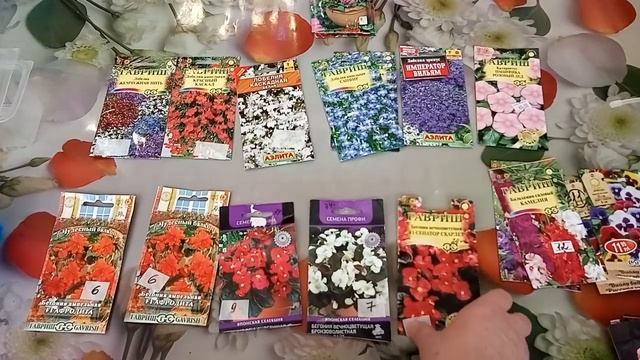 Мои любимые цветы для сада. Какие цветы первыми на рассаду я буду сеять в 2020 году. Часть 1. смотреть онлайн