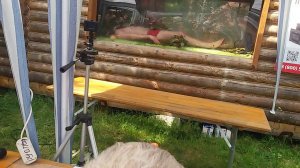 Горемыкин Владимир парение в финале чемпионата России г. Москва Баняфест 2016