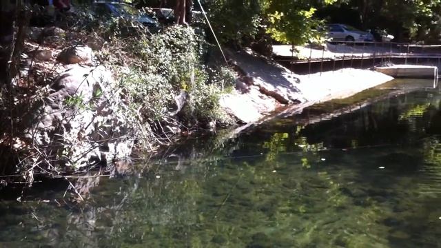 Форель в Турции, река Улупинар смотреть онлайн