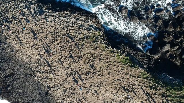 Giants Causeway • Northen Ireland• Drone Aerial View FHD смотреть онлайн