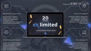 Плюсы и минусы проекта  Exlimited. Главные принципы инвестиций .