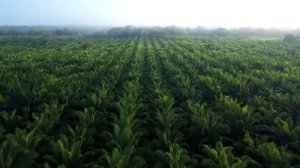 528Hz ВЫСОКОЧАСТОТНАЯ музыка Для Вас и вашего дома 》РЕЛАКС и МЕДИТАЦИЯ