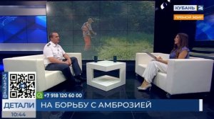Валерий Немченко: покос — самый неэффективный способ борьбы с амброзией