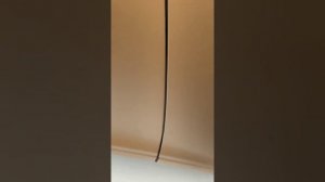 Эрик Давидыч и обзор Aurus на выставке