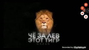 ЧЕ ЗА ЛЕВ ЭТО ТИГР!!!!👍👍😎😎😥😥🦁🦁🦁🐯🐯🐯