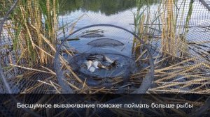 Ошибка многих рыболовов, устранив которую, можно ловить больше крупной рыбы