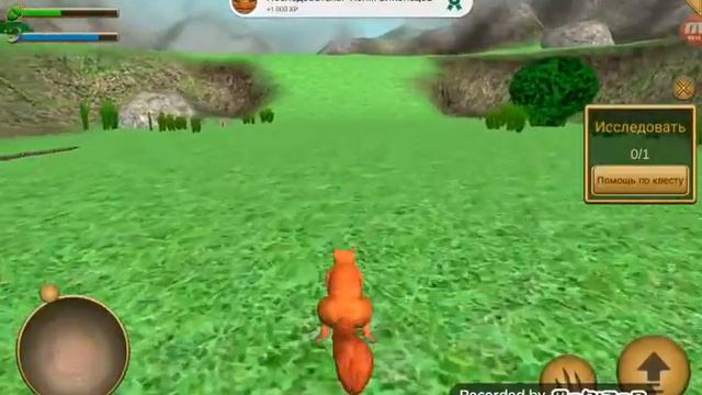 Симулятор белки смотреть онлайн