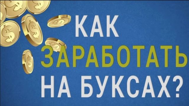 заработок с нуля без вложений 2024г