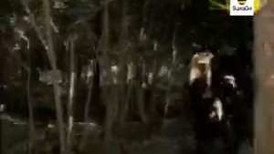 DENGIZ HUKUMDORI SERIALIDAGI ENG QIZIQARLI LAVXALAR JANGBOGO VA YAMIY XONIM ISHTIROKIDA AJOYIB LAVX