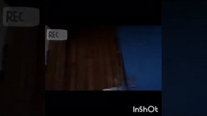 Кош-Агач, гостевой дом с рейтингом 10 по Букингу.