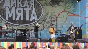 Sunsay - Сейчас и здесь (Дикая мята 2014)