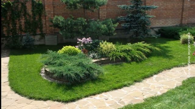 ❀ Садовые композиции из хвойных растений: правила создания, идеи