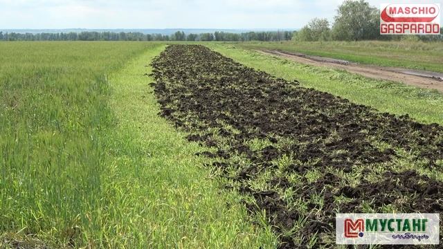 Чем лучше обрабатывать почву перед посевом/Глубокорыхлитель АРТИГЛИО от Gaspardo