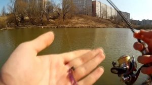 Городская рыбалка. Рязань. Ловля окуня в городе.