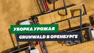 Уборка урожая в Оренбурге l Полуприцепы Грюнвальд и комбайны Ростсельмаш