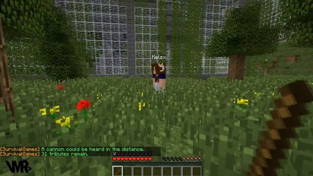 ★ Minecraft Lets Play - Survival Games Hide And Seek Style! смотреть онлайн