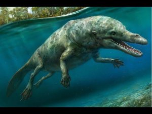 Единственное место на Земле, где киты пешком ходили