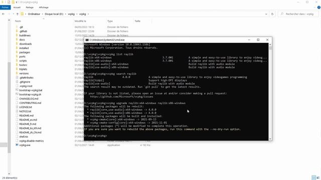 Updating a C / C++ library using vcpkg - [Raylib 4.0] смотреть онлайн