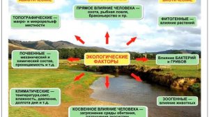 Изменение климата под влиянием естественных и антропогенных факторов