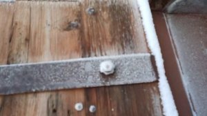 Запуск #Toyota wish в -30