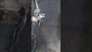 Замена рулевой рейки мазда 626 кронос.