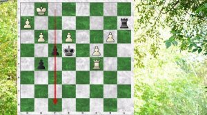 СУПЕР совет для ладейных окончаний