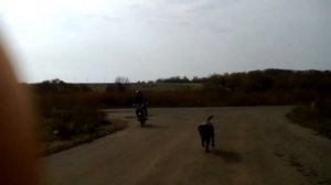 Я покажу как двигаться с места и ехать на Карпаты