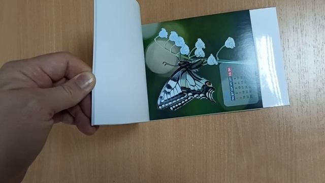 Календари 2023