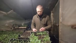 пересаживает томаты, продаём на рынке свой товар.