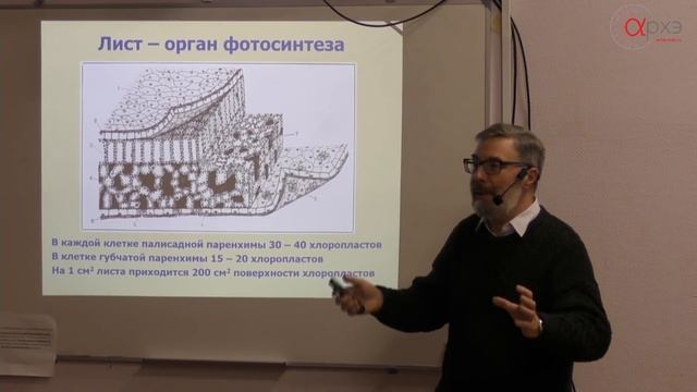 Иван Тараканов: "Фотосинтез и космическая роль зеленого растения."