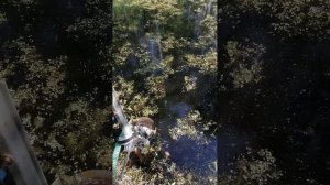 Чистка пруда от ряски насосом!