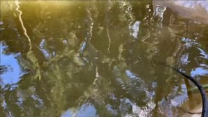 Аэратор Pondtech HG-370С для пруда.Или фуфло и как его использовать.Тест в полевых условиях.